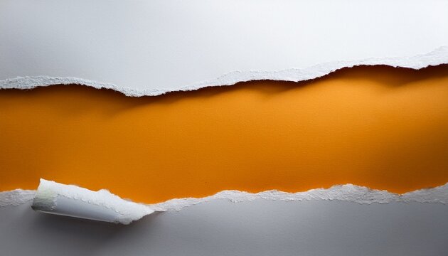 Transparent Ripped Paper Edge