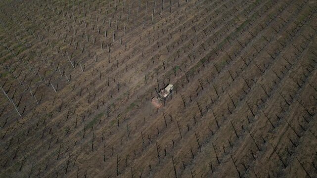 Tracked vineyard tractor performing soil leveling and inter-row maintenance in Colli Piacentini wine region, Piacenza, Italy, operating on structured vineyard pattern across hillside terrain