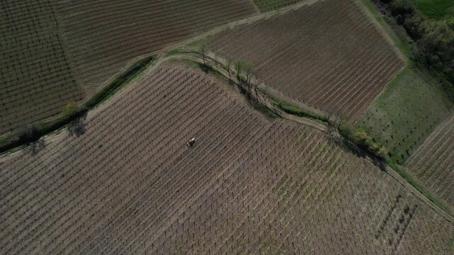 Tracked vineyard tractor performing soil leveling and inter-row maintenance in Colli Piacentini wine region, Piacenza, Italy, operating on structured vineyard pattern across hillside terrain