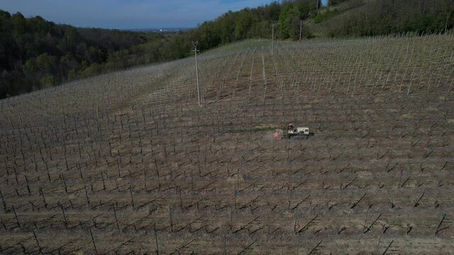 Tracked vineyard tractor performing soil leveling and inter-row maintenance in Colli Piacentini wine region, Piacenza, Italy, operating on structured vineyard pattern across hillside terrain