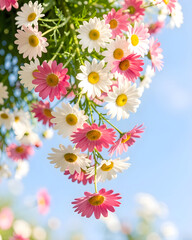 pink flowers on a blue background
