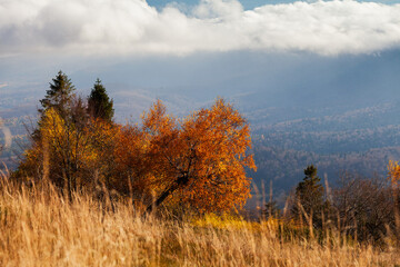 autumn in the mountains © uranos1980