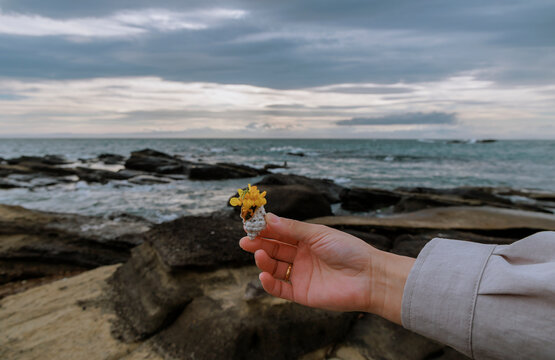 Small coastal joy: A shell and small flowers in hand.