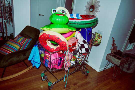 shopping cart filled with summer essentials in the living