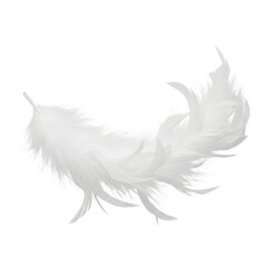 Fototapeta premium A delicate white feather isolated on a transparent background, showcasing its soft texture and light structure