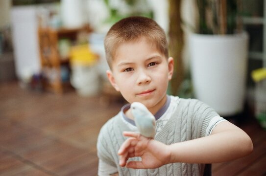 Cute Bird Resting On A Young Boy's Hand.