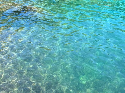 Calm rippled sea water with underwater seaweed.
