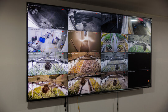 Surveillance System Monitoring Indoor Agricultural Facility