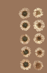 abstract floral background