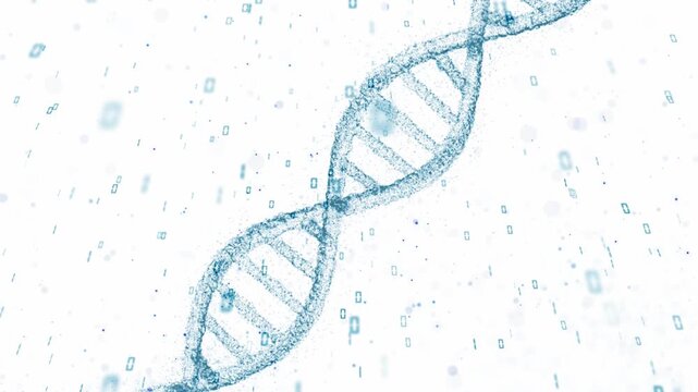 Rotating DNA helix on white background with falling binary numbers, futuristic biotechnology and genetic data concept with clean minimal style. Seamless looping.