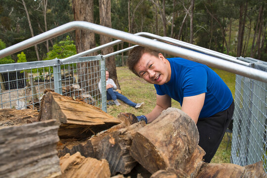 Man Stacking Firewood in a Wooded Area During the Day