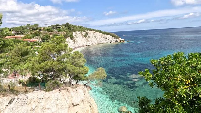 The seashore from above. A view of the trees and clear water in the bay.
