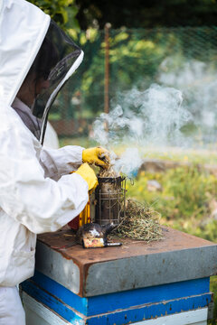 Beekeeper lighting smoker with dry grass outdoors