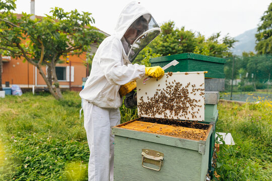 Beekeeper lifts bee-covered feeder