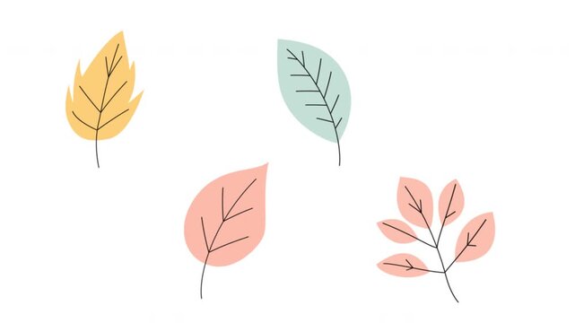 Four animated pastel leaves. 4k animation Perfect for spring themed designs, nature concepts, stationery, and botanical projects. alpha channel