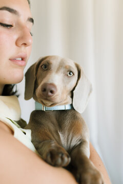 Woman holding a dog with stunning eyes indoors