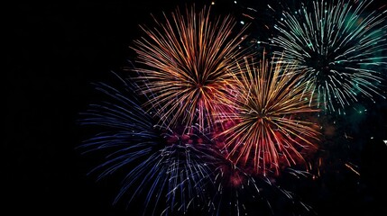 Bright fireworks burst in the dark night sky.