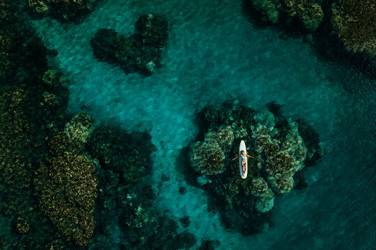 Surfer girl laying on surfboard in tropical reef