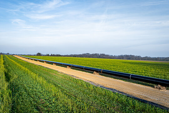 Neubau einer Methangas-Pipeline im Sp&auml;therbst in Norddeutschland , die Rohrleitung schl&auml;ngelt sich durch die Felder - Luftbild.