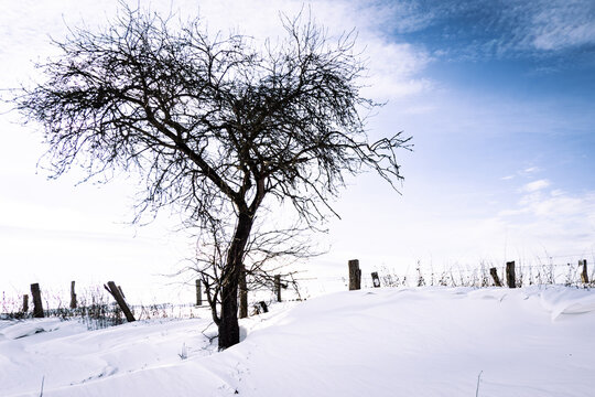 Winter auf dem Lande, eingeschneiter alter Stacheldrahtzaun einer Weide, Symbolfoto.