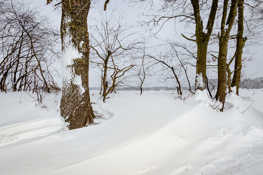 Winterlandschaften, leichte Schneewehen haben sich hinter einer Baumreihe gebildet.