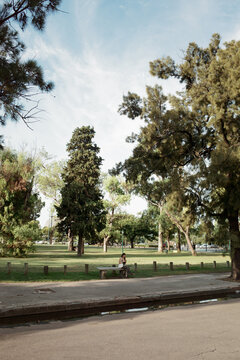 Peaceful Afternoon in a Green Park With a Solitary Figure