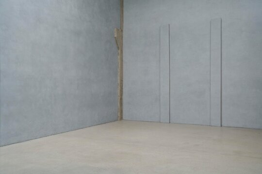 Empty Room With Gray Walls and Cement Floor in Modern Design