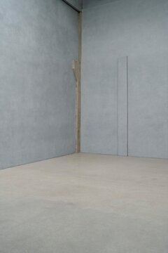 Empty room with light gray walls and smooth floor surface