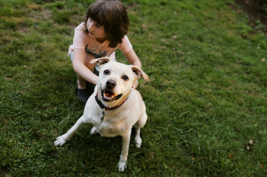 Happy yellow Labrador mix dog with little girl in yard