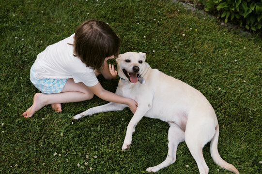 Happy yellow Labrador mix dog with little girl in yard