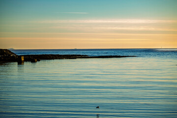 Obraz premium Minimalist Coastal Landscape with Bird in Flight Over Calm Ocean at Sunrise