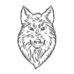 Obraz premium Viking wolf head with sharp ears and detailed fur texture, fierce Norse animal symbol inspired by mythology and warrior culture. Detailed Viking wolf in monochrome engraving style vector illustration.
