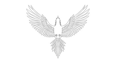 Fototapeta premium A beautiful illustration of a bird in flight with outstretched wings and feathers