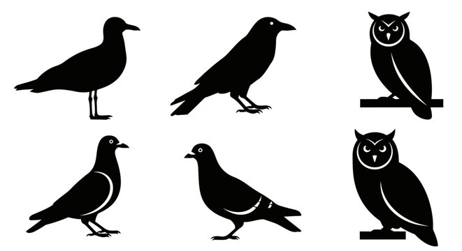 Collection of diverse bird silhouettes: crow, owl, pigeon, and seagull icons