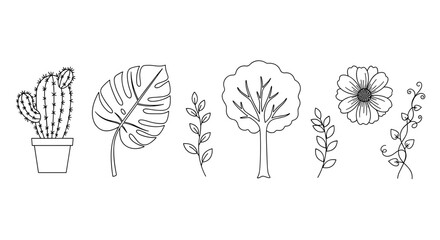 Collection of various plants and flowers in a simple line drawing style