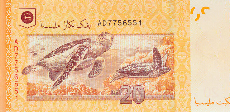 Malaysian cash banknote currency consists of banknotes of twenty ringgit denominations back side