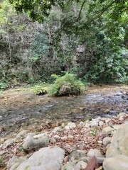 Small tropical waterfall and river stream in lush green jungle forest