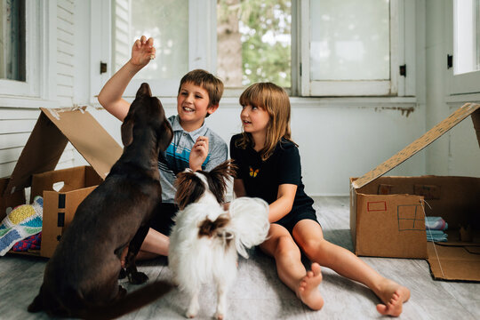 Kids & Dogs