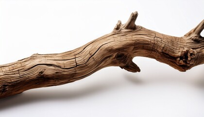 Detailed Driftwood Branch With Cracked Texture Isolated On Clean White Background