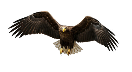Fototapeta premium A majestic eagle soaring with outstretched wings in mid-flight, conveying strength and freedom. The bird's focused gaze suggests determination and power, isolated on transparent background