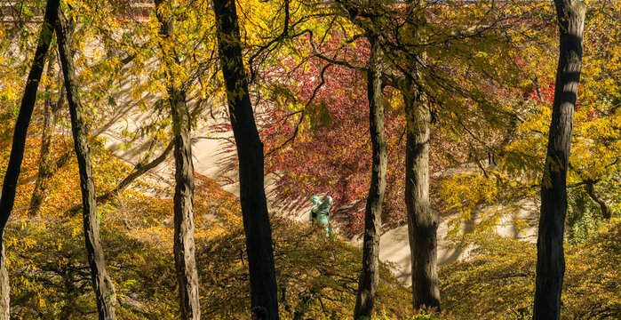 USA, IL, Chicago.  Fall color and bronze statue in urban park.