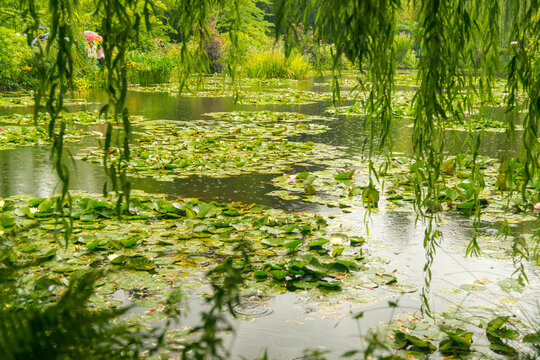 France, Giverny.  The garden and inspiration of famous impressionist, Claude Monet.