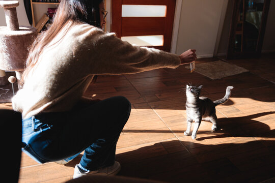 Woman Teasing Playful Cat with a Treat
