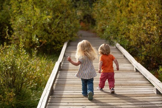 Two young kids running on forest boardwalk
