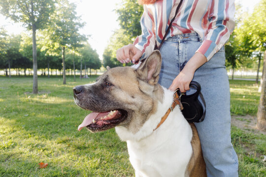 A young woman is standing on the lawn with her dog