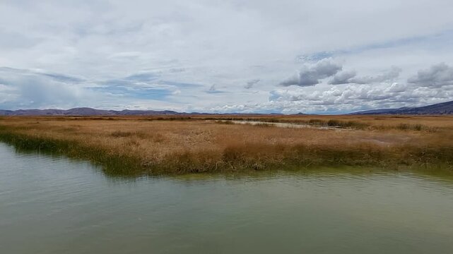 Lake Titicaca, Peru - 9 December 2022. Golden totora reeds border calm lake water, with rolling Andean hills and dense clouds across the horizon.