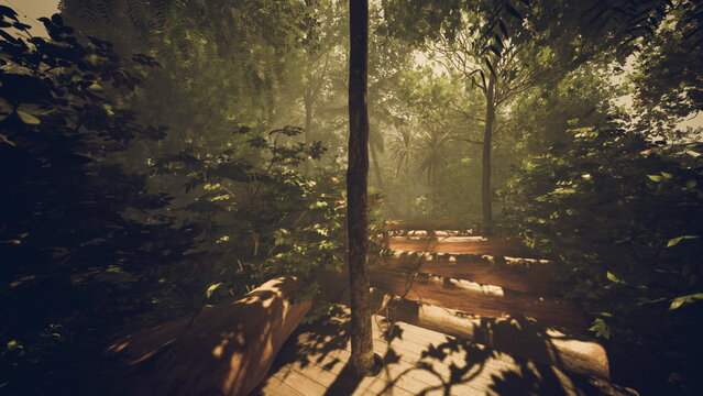 vertical trunk framing bright forest exit, leading boardwalk contrasts with high canopy, strong backlight creates hopeful and cinematic scene for concept