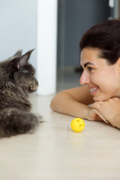 A Maine Coon cat is lying on the floor