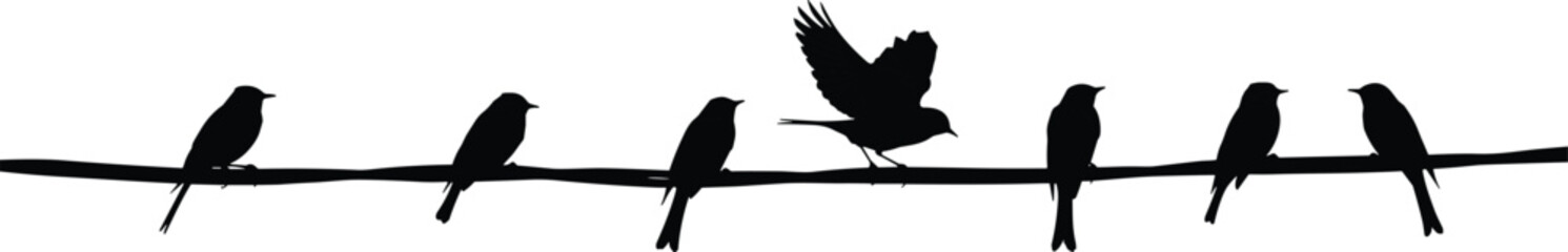 Bird silhouettes sitting on tree branch with one flying isolated on white background minimalist wildlife vector illustration design © Shariyar Pantho