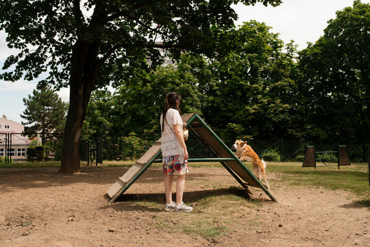 Training Day at the Dog Park